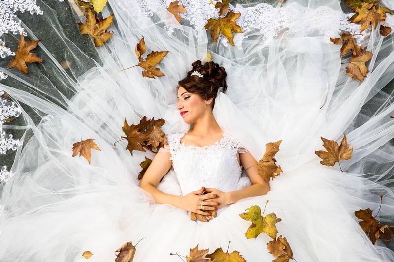 Vintage Bridal Silhouette